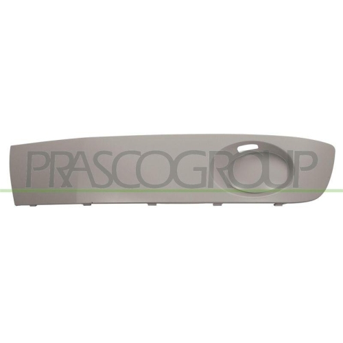 PRASCO L&uuml;ftungsgitter, Sto&szlig;f&auml;nger Premium VG9192144