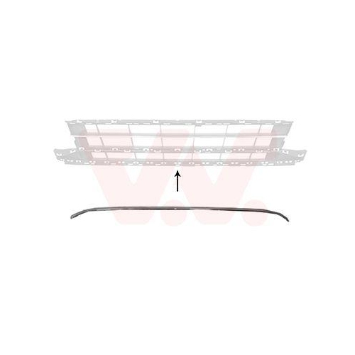 VAN WEZEL Zier-/Schutzleiste, K&uuml;hlergitter 5742585