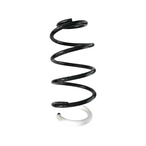 SPIDAN Fahrwerksfeder GKNW10133