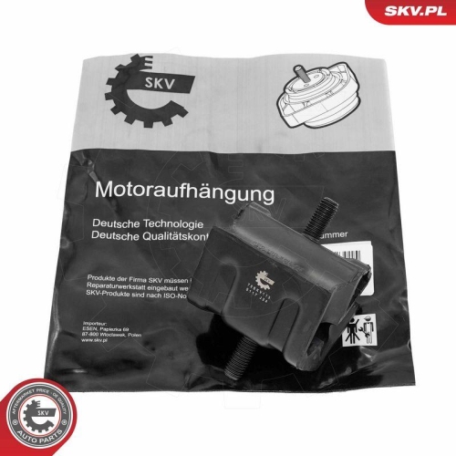 ESEN SKV Lagerung, Motor 75SKV113