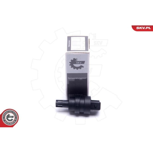 ESEN SKV Sensor, Ansauglufttemperatur