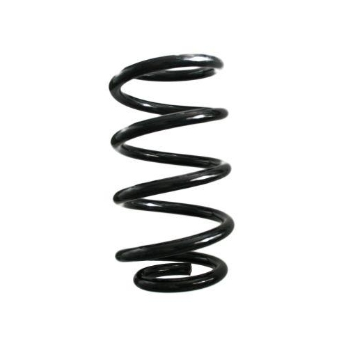 SPIDAN Fahrwerksfeder GKNW10136