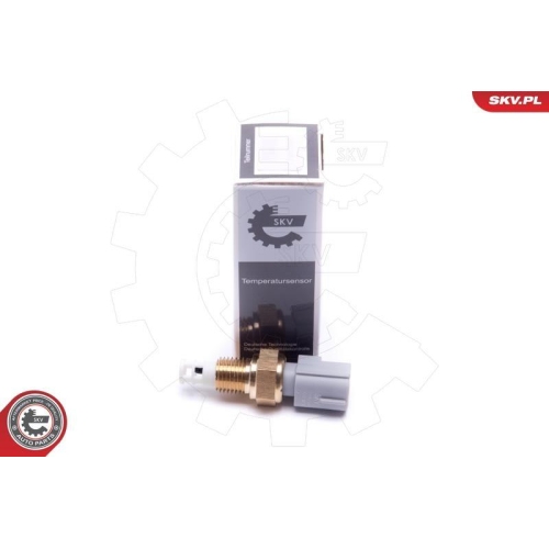 ESEN SKV Sensor, Ansauglufttemperatur 17SKV684