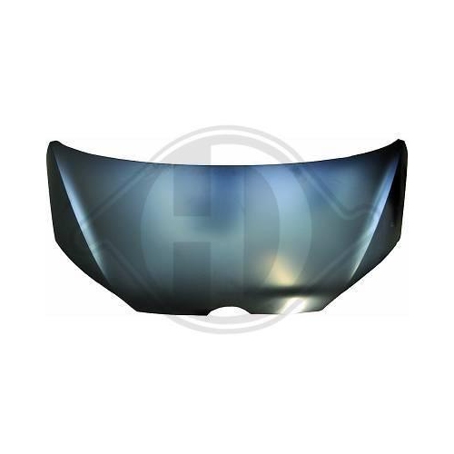 DIEDERICHS Motorhaube 2236000