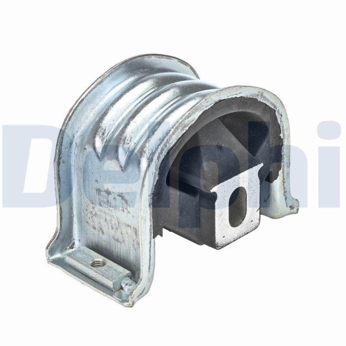 DELPHI Lagerung, Motor