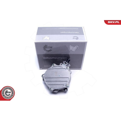 ESEN SKV Unterdruckpumpe, Bremsanlage