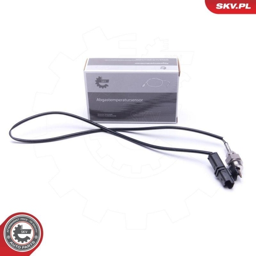 ESEN SKV Sensor, Abgastemperatur 30SKV411