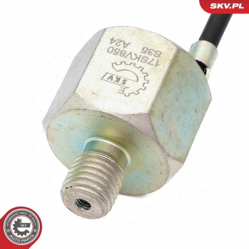 ESEN SKV Klopfsensor 17SKV850