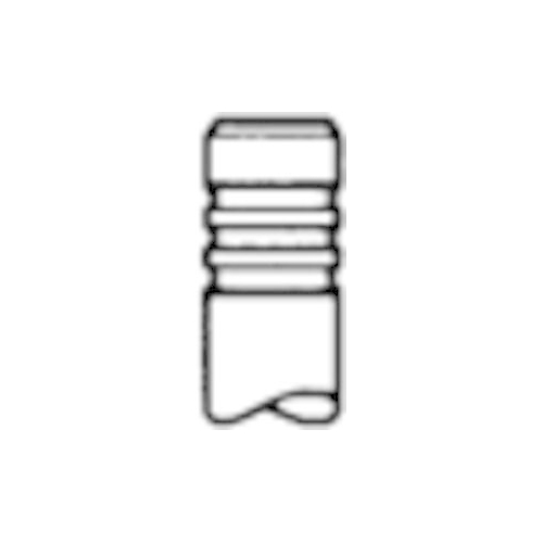 TRW Engine Component Auslassventil 261154