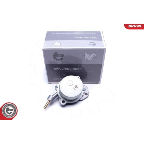 ESEN SKV Unterdruckpumpe, Bremsanlage