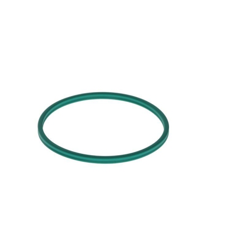 BOSCH Dichtung F 00N 200 053