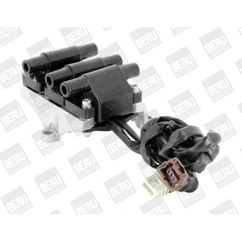 BorgWarner (BERU) Zündspule ZSE007