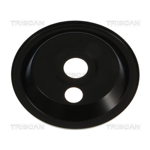 TRISCAN Spritzblech, Bremsscheibe 8125 23122