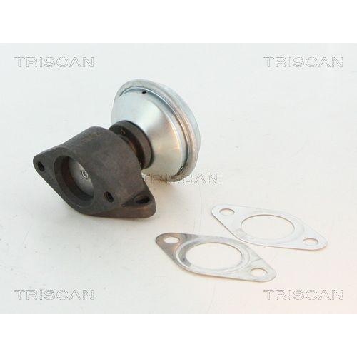TRISCAN AGR-Ventil 8813 27100