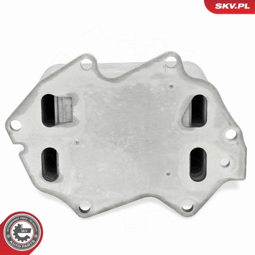 ESEN SKV &Ouml;lk&uuml;hler, Motor&ouml;l 31SKV368