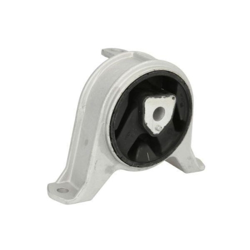 REINHOCH Lagerung, Motor RH11-5012