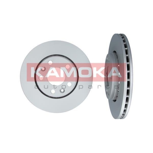 KAMOKA Bremsscheibe 1031043