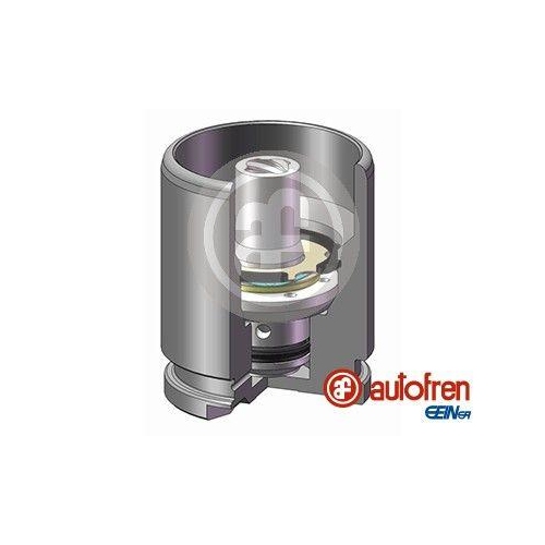 AUTOFREN SEINSA Kolben, Bremssattel