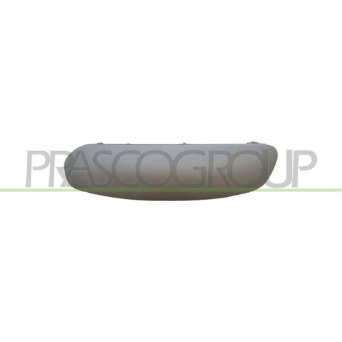 PRASCO Zier-/Schutzleiste, Sto&szlig;f&auml;nger Premium CI3221246
