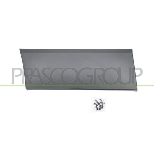 PRASCO Zier-/Schutzleiste, Kotfl&uuml;gel FT9001455