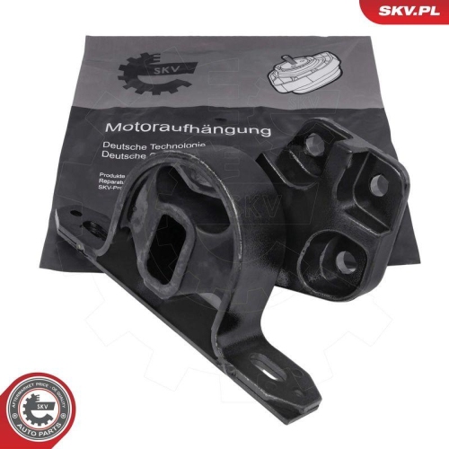 ESEN SKV Lagerung, Motor 75SKV039