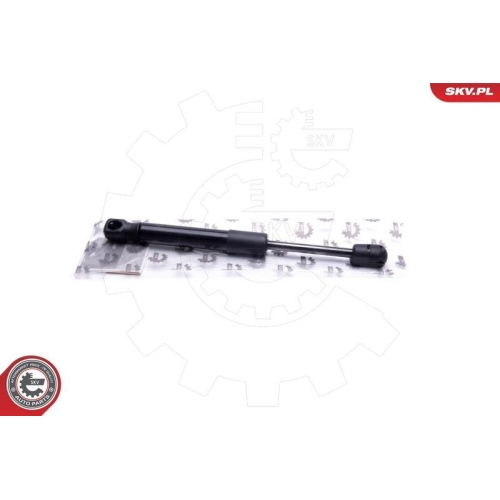 ESEN SKV Gasfeder, Koffer-/Laderaum