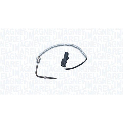 MAGNETI MARELLI Sensor, Abgastemperatur