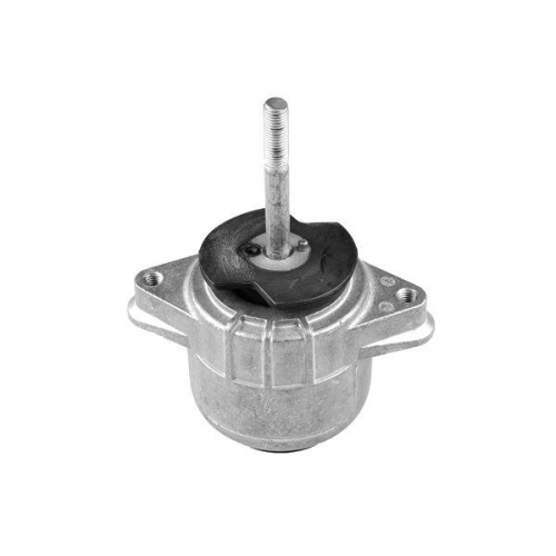 TEDGUM Lagerung, Motor