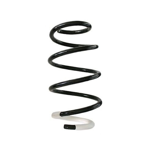 SPIDAN Fahrwerksfeder GKNW10147