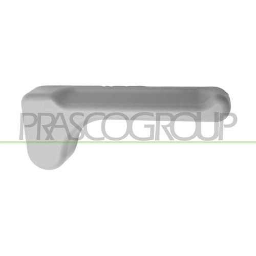 PRASCO T&uuml;rau&szlig;engriff VG9528807