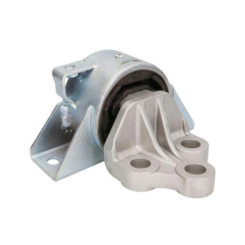REINHOCH Lagerung, Motor RH11-5091