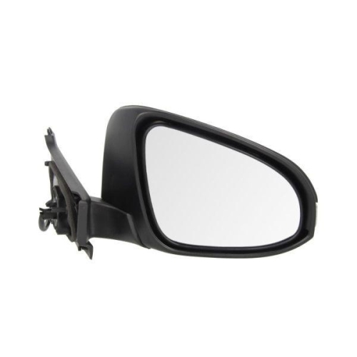 BLIC Außenspiegel 5402-19-2002556P