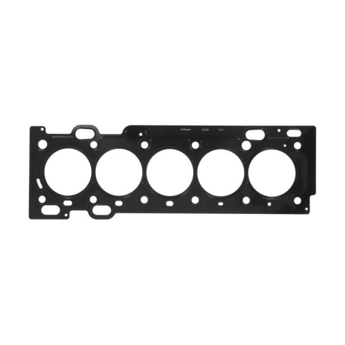 PAYEN Dichtung, Zylinderkopf AE5560