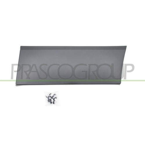PRASCO Zier-/Schutzleiste, Kotfl&uuml;gel FT9001456