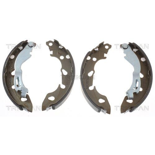 TRISCAN Bremsbackensatz 8100 10038