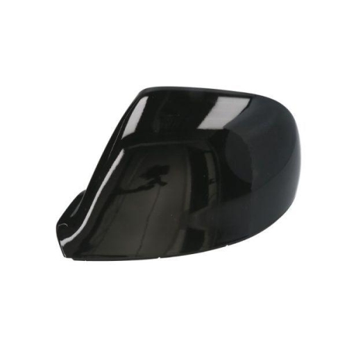 BLIC Gehäuse, Außenspiegel 6103-01-0104091P