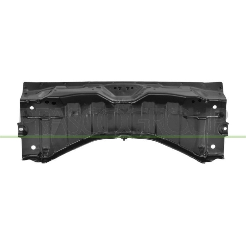 PRASCO Heckwand TS6003250