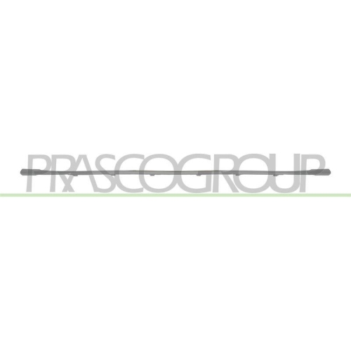 PRASCO Zier-/Schutzleiste, Sto&szlig;f&auml;nger AD8171235