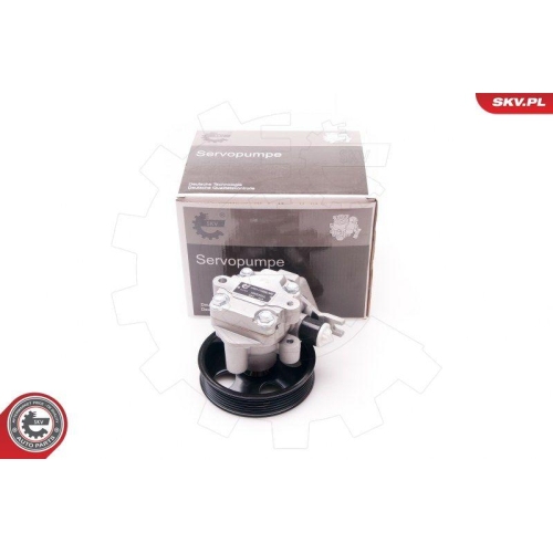 ESEN SKV Hydraulikpumpe, Lenkung