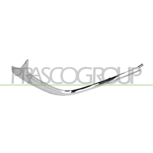 PRASCO Zier-/Schutzleiste, Sto&szlig;f&auml;nger MZ6021243