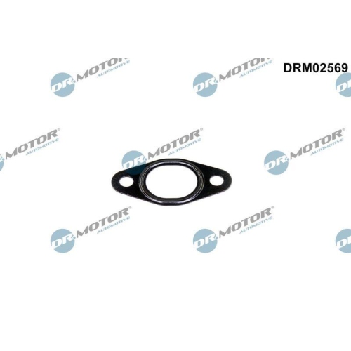 Dr.Motor Automotive Dichtung, Leitung AGR-Ventil DRM02569