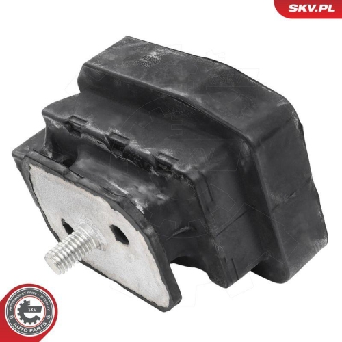ESEN SKV Lagerung, Schaltgetriebe 75SKV801