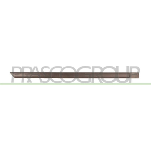 PRASCO Zier-/Schutzleiste, T&uuml;r OP0131453