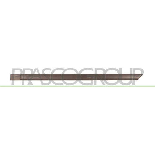 PRASCO Zier-/Schutzleiste, T&uuml;r OP0131454
