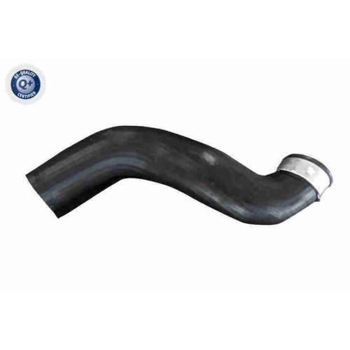 VAICO Ladeluftschlauch Q+, Erstausrüsterqualität V20-4355