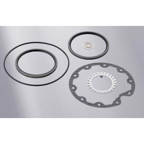 ELRING Dichtungssatz, Au&szlig;enplanetengetriebe 752.348