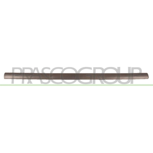 PRASCO Zier-/Schutzleiste, T&uuml;r OP0171403