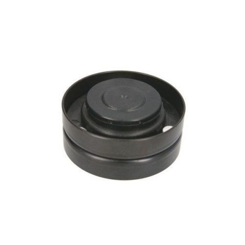 BTA Spannrolle, Keilriemen B05-AG-078