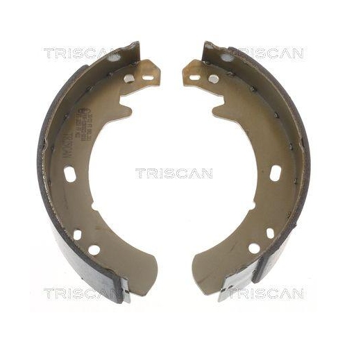 TRISCAN Bremsbackensatz, Feststellbremse 8100 17012