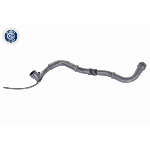 VAICO Ladeluftschlauch Q+, Erstausr&uuml;sterqualit&auml;t V46-0742